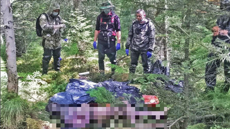 Поиски пропавшего вахтовика в Тюменской области завершились трагедией